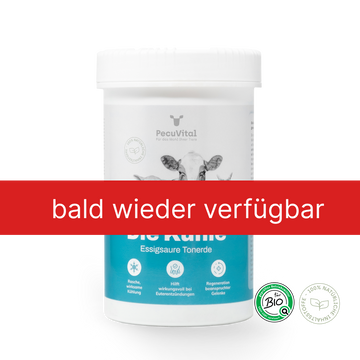 Die Kuhle