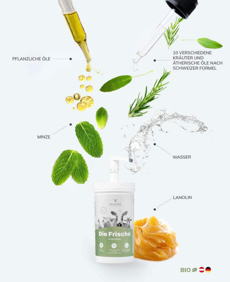 Die Frische _ Eutercreme für optimalen Milchfluss
