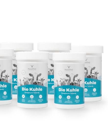 PecuVital Das Kühl-Paket Die Kühle essigsaure Tonerde für Kühe