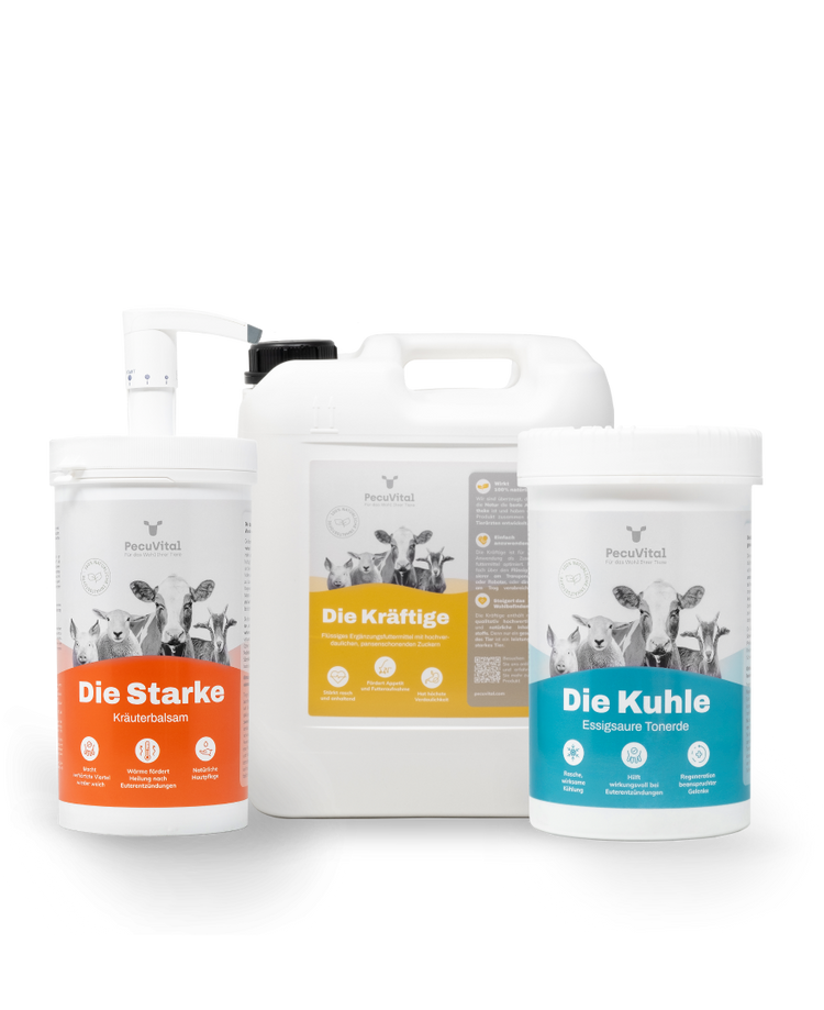 PecuVital Mastitis Paket Die Starke Kräuterbalsam Die Kräftige Die Kuhle essigsaure Tonerde für Kühe
